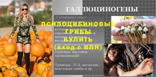 ECSTASY Богородск