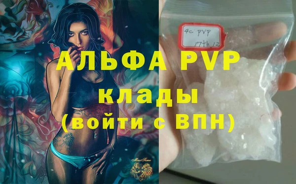 ECSTASY Богородск
