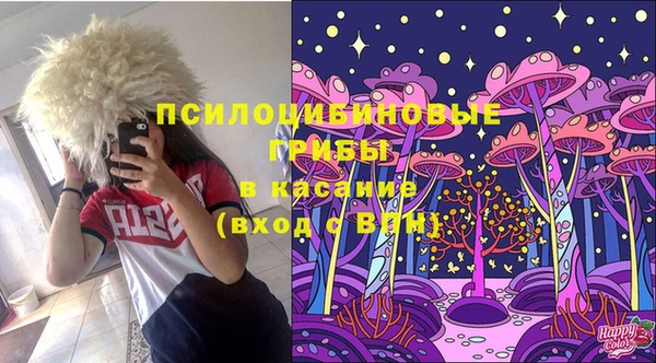 ECSTASY Богородск