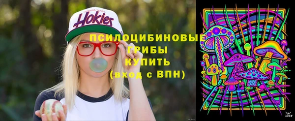 прущие крисы Богданович