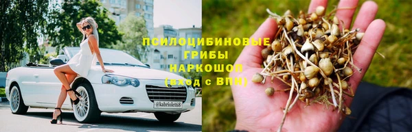 прущие крисы Богданович