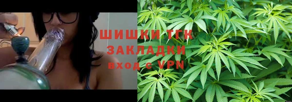 ECSTASY Богородск